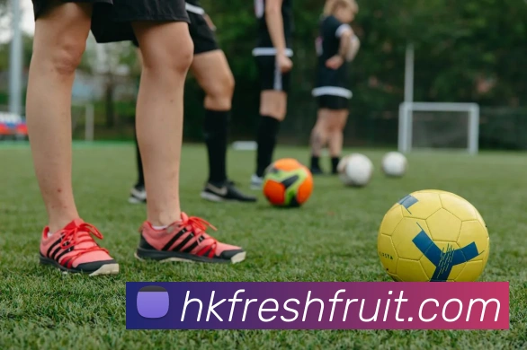 开云体育平台生态图