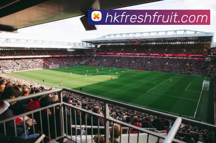 多媒体互动体验