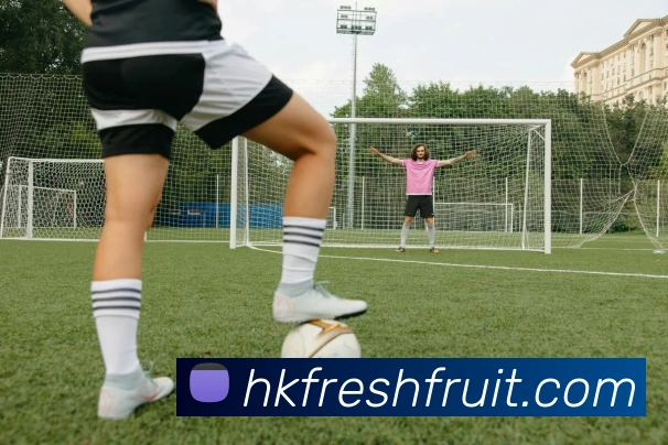 开云体育APP 封面图