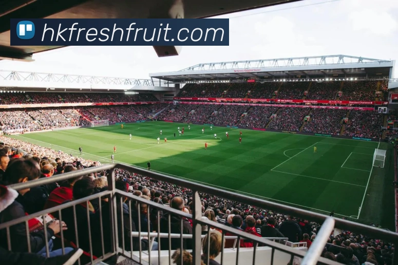 开云APP 高清赛事图