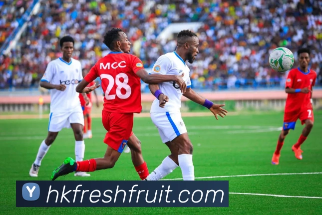 数据防护可视化