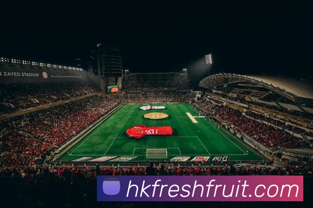 数据防护可视化